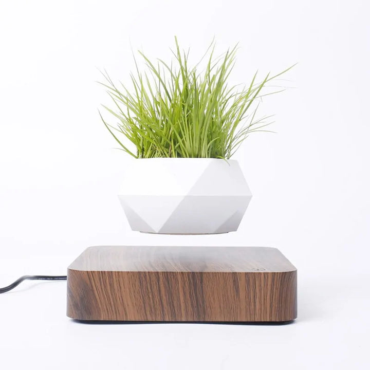 Levitating Air Bonsai Planter