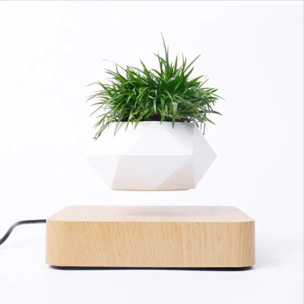 Levitating Air Bonsai Planter