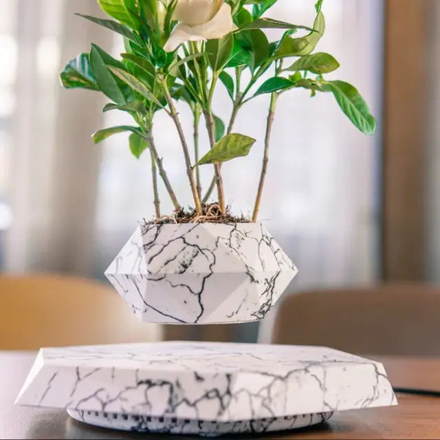 Levitating Bonsai Planter