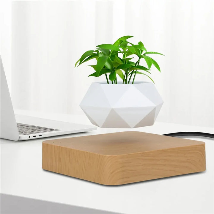 Levitating Air Bonsai Planter