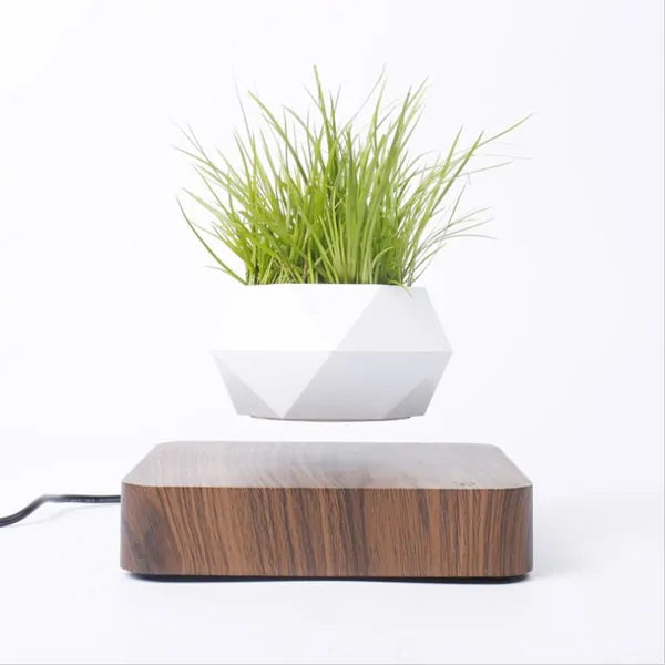 Levitating Air Bonsai Planter