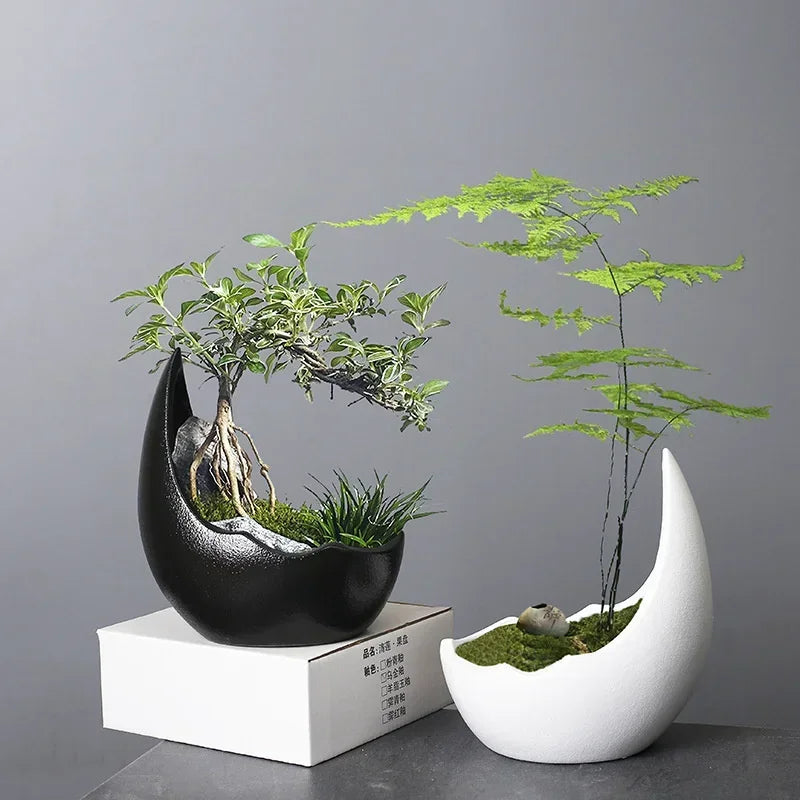 Rhinoceros Horn Ceramic Planter