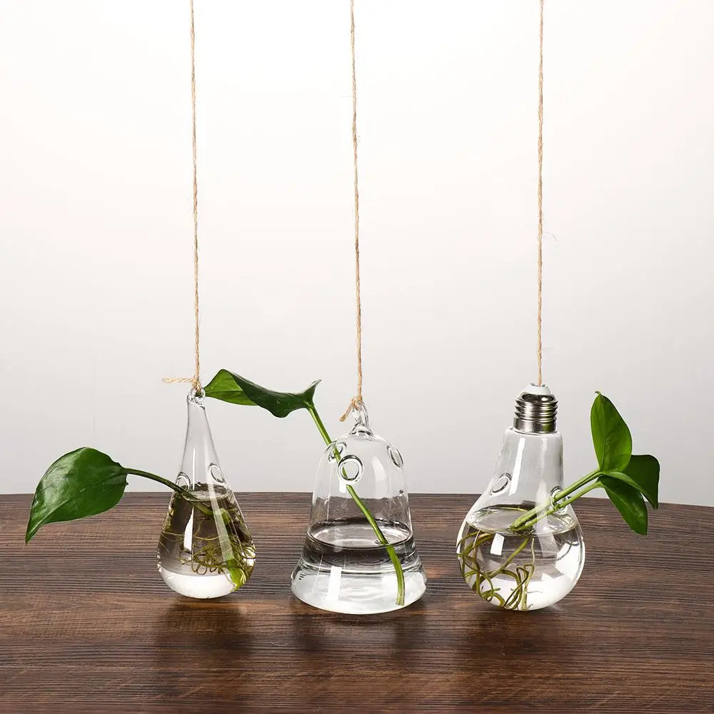 Eye-catching Hanging Glass Vase Collection