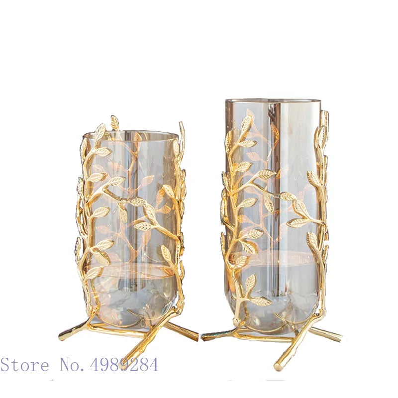 Glass Metal Vase with Gold Frame – Elegant Hydroponic Decor