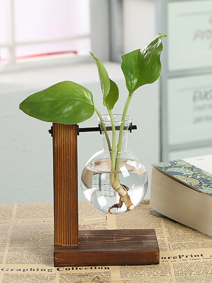 Wooden Frame Pineapple Hydroponic Vase