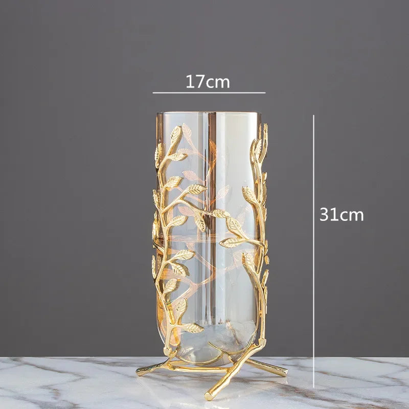 Glass Metal Vase with Gold Frame – Elegant Hydroponic Decor