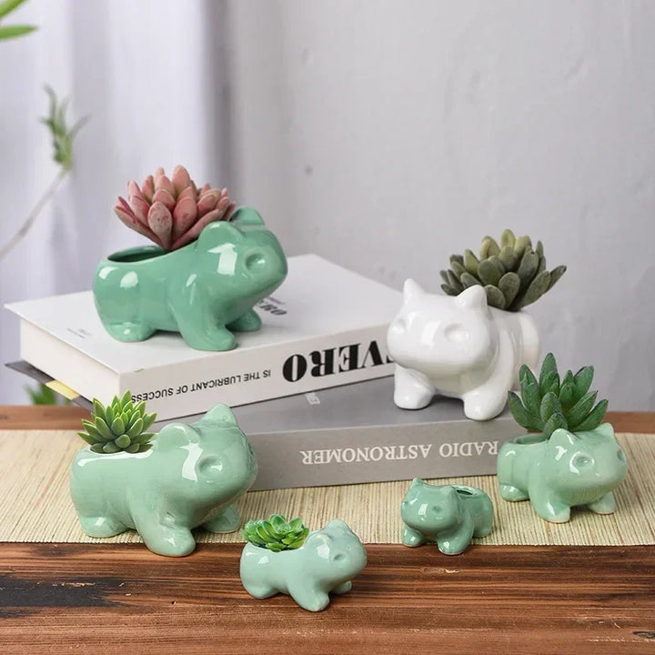 Ceramic Succulent Planter