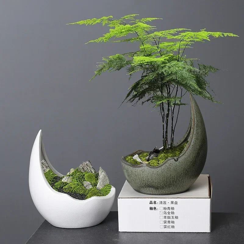 Rhinoceros Horn Ceramic Planter