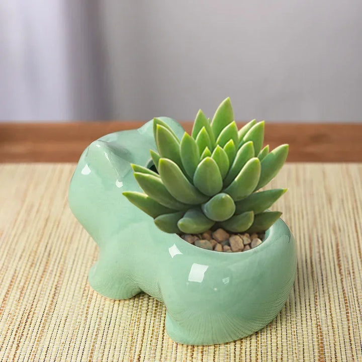 Ceramic Succulent Planter