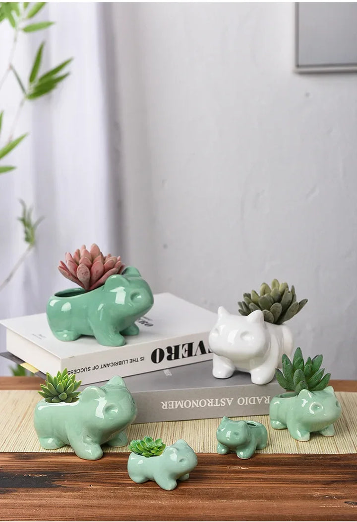 Ceramic Succulent Planter