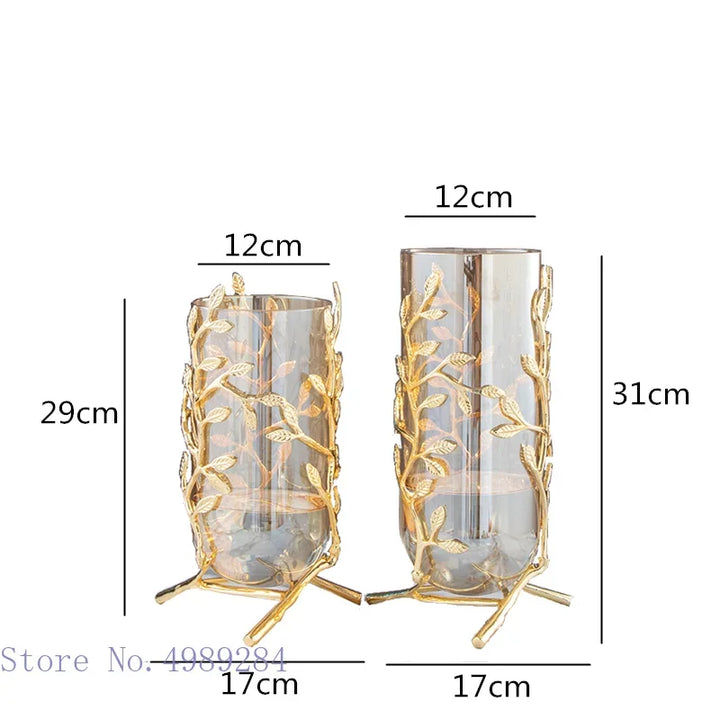 Glass Metal Vase with Gold Frame – Elegant Hydroponic Decor