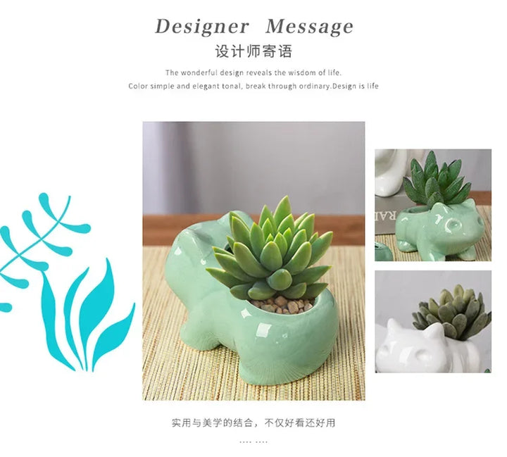 Ceramic Succulent Planter