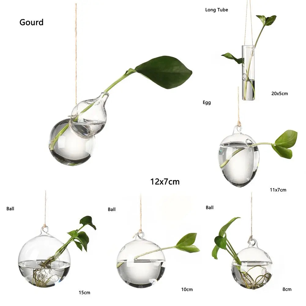 Eye-catching Hanging Glass Vase Collection