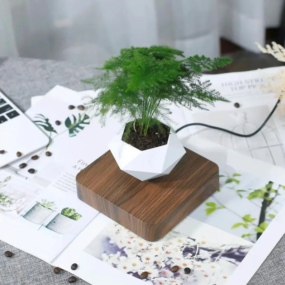 Levitating Bonsai Planter