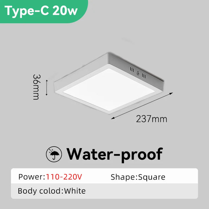 Modern Led Ceiling Lamp Ceiling Light Fixture Waterproof Bathroom Lights For Kitchen Bedroom Living Room Indoor Lighting 85-220V