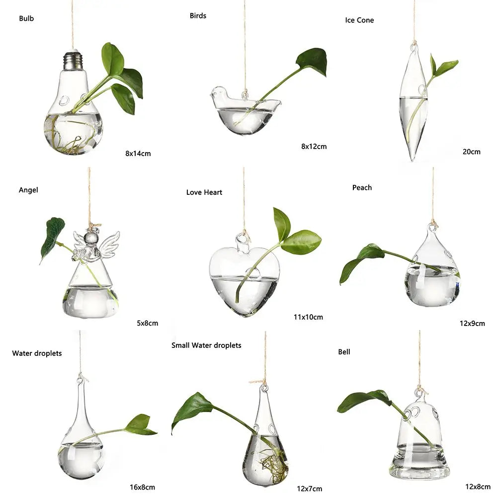 Eye-catching Hanging Glass Vase Collection