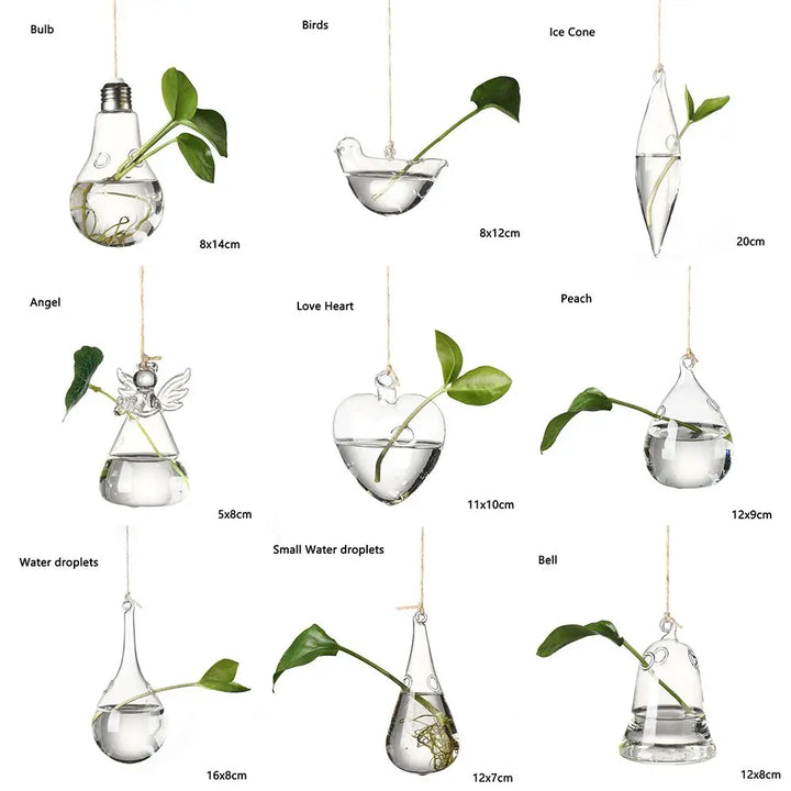 Eye-catching Hanging Glass Vase Collection