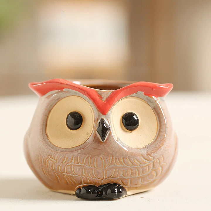 Cute Owl Ceramic Planter