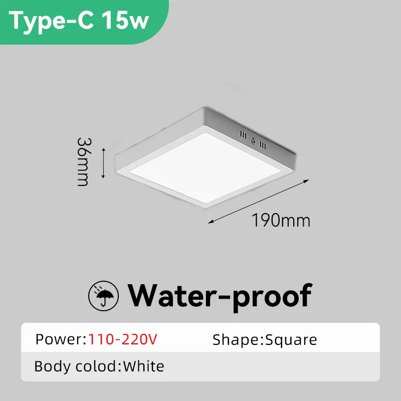 Modern Led Ceiling Lamp Ceiling Light Fixture Waterproof Bathroom Lights For Kitchen Bedroom Living Room Indoor Lighting 85-220V