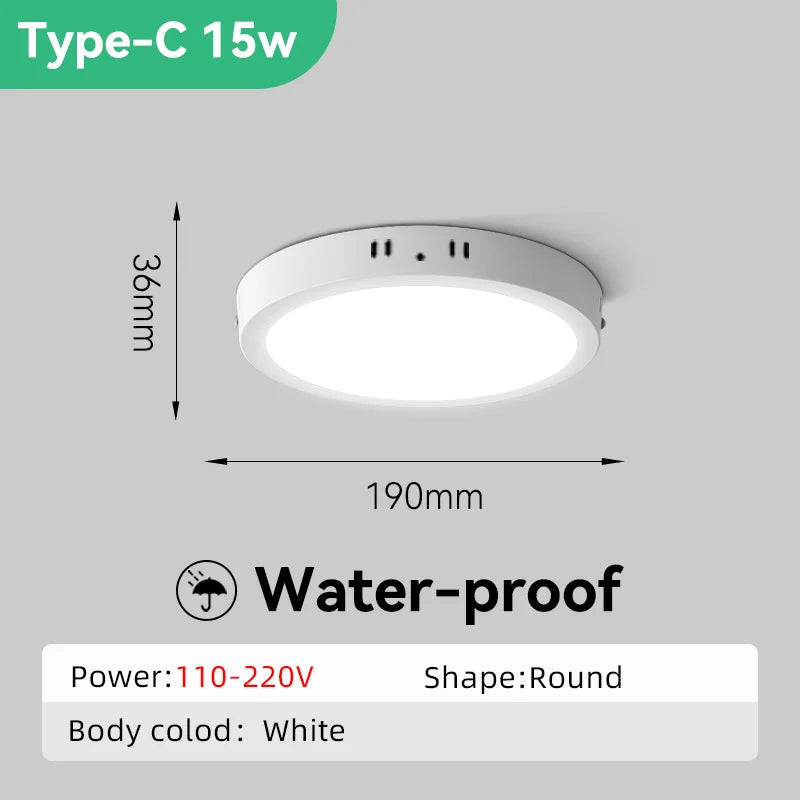 Modern Led Ceiling Lamp Ceiling Light Fixture Waterproof Bathroom Lights For Kitchen Bedroom Living Room Indoor Lighting 85-220V