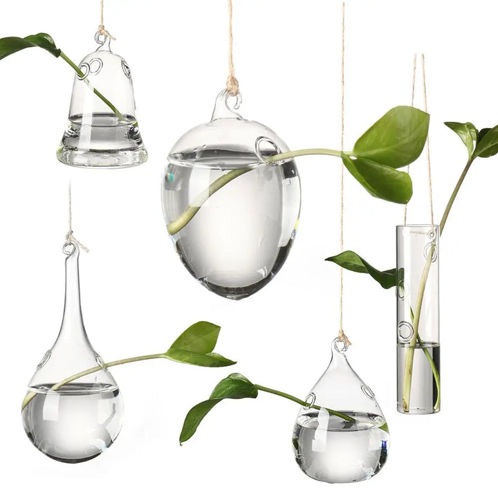 Eye-catching Hanging Glass Vase Collection