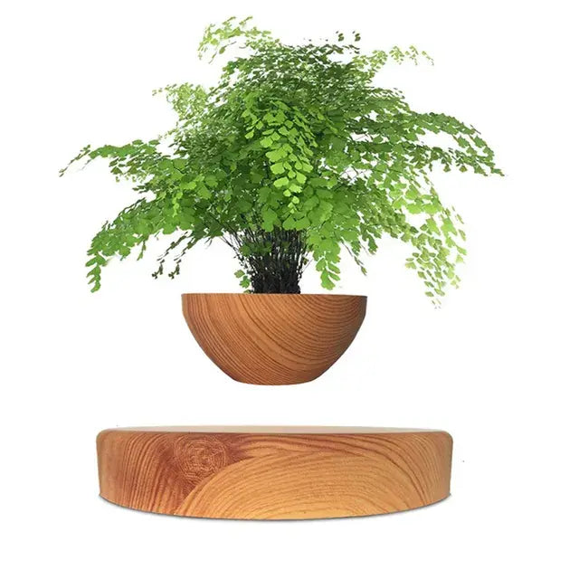 Levitating Bonsai Planter