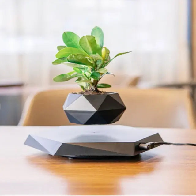 Levitating Bonsai Planter