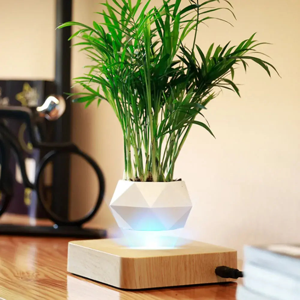 Levitating Bonsai Planter